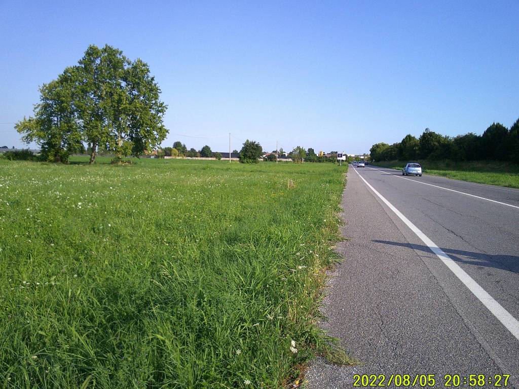 immagine annuncio 6 di 14