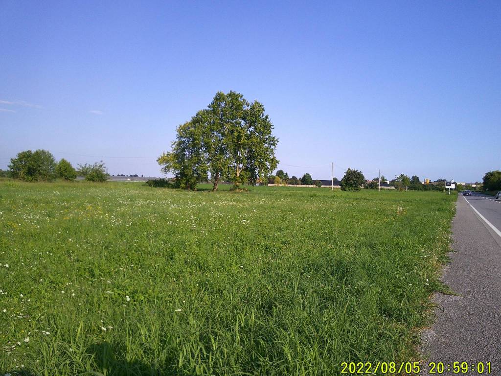 immagine annuncio 7 di 14