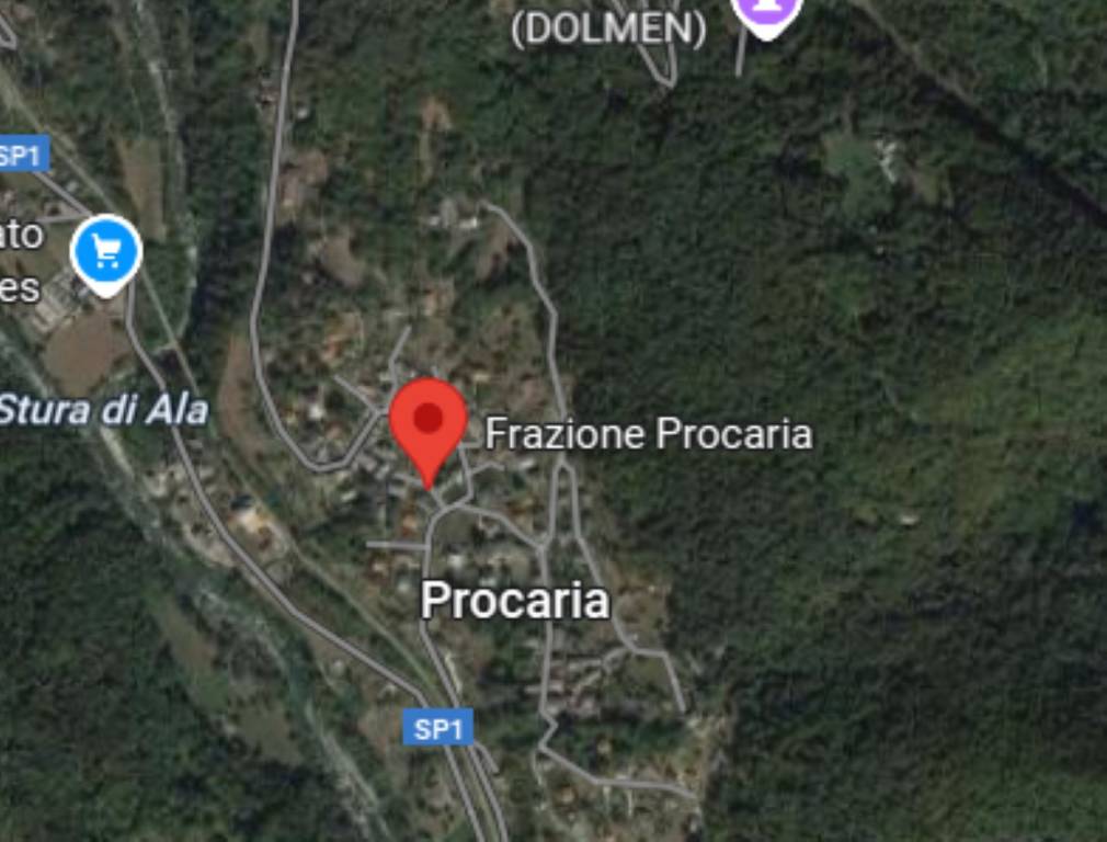 immagine annuncio 3 di 11