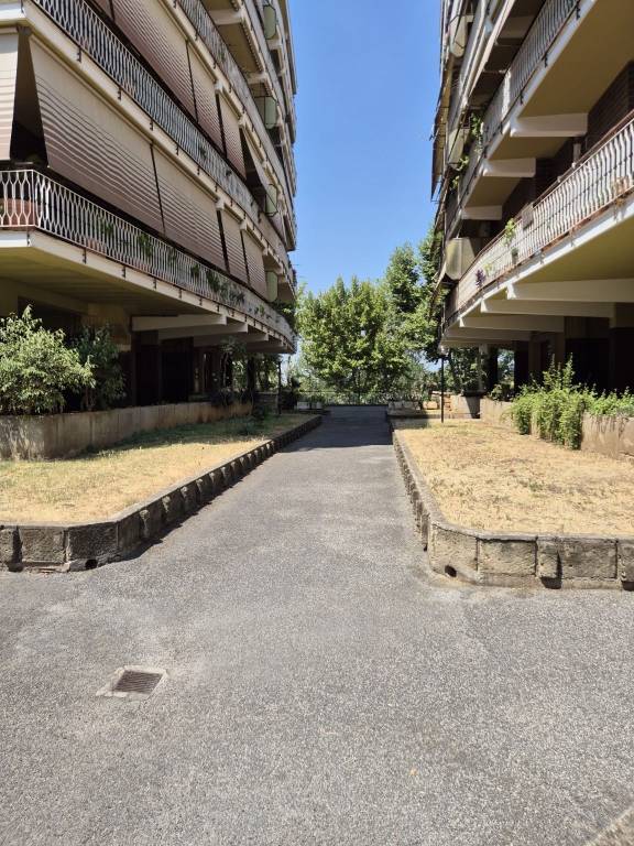 immagine annuncio 11 di 14