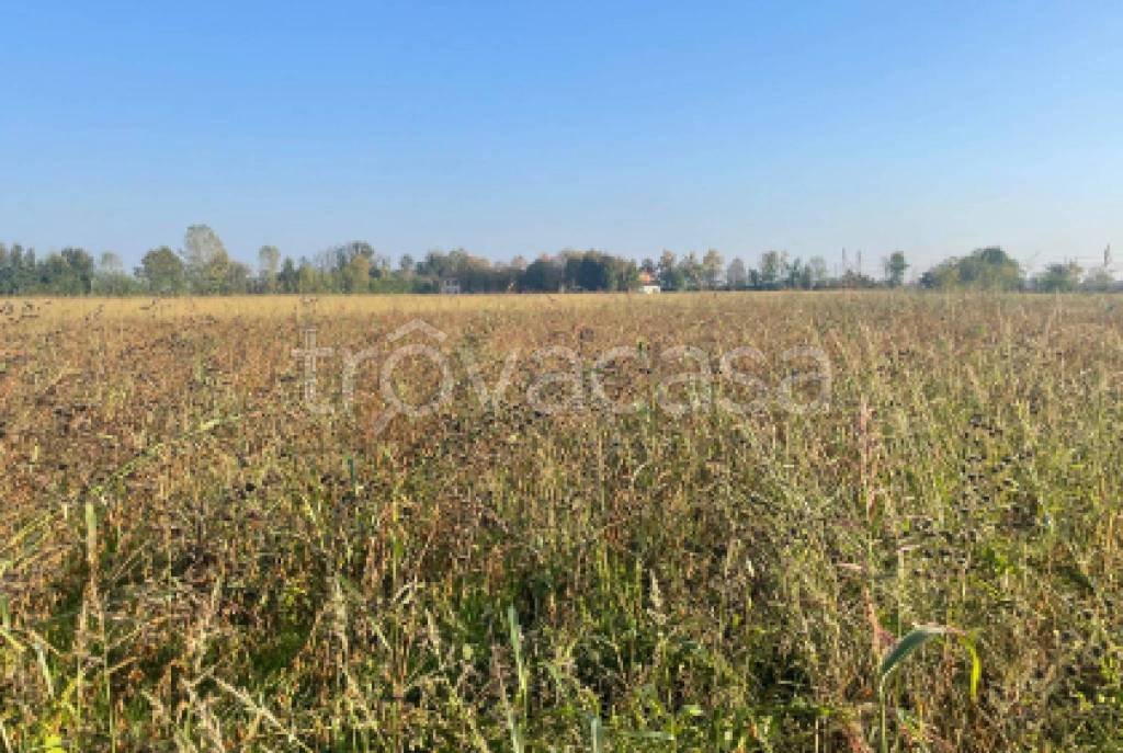 immagine annuncio 4 di 9