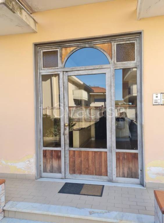 immagine annuncio 8 di 14
