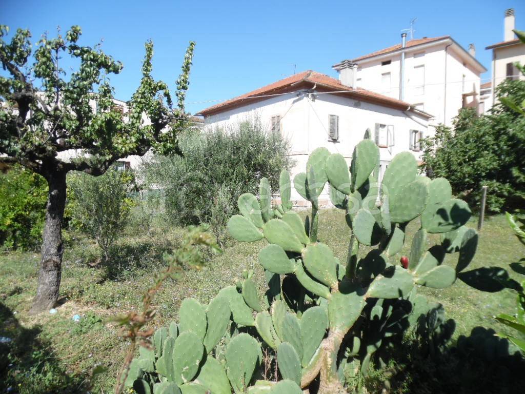 immagine annuncio 4 di 6