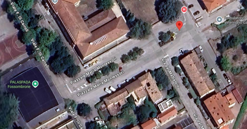 immagine annuncio 1 di 11