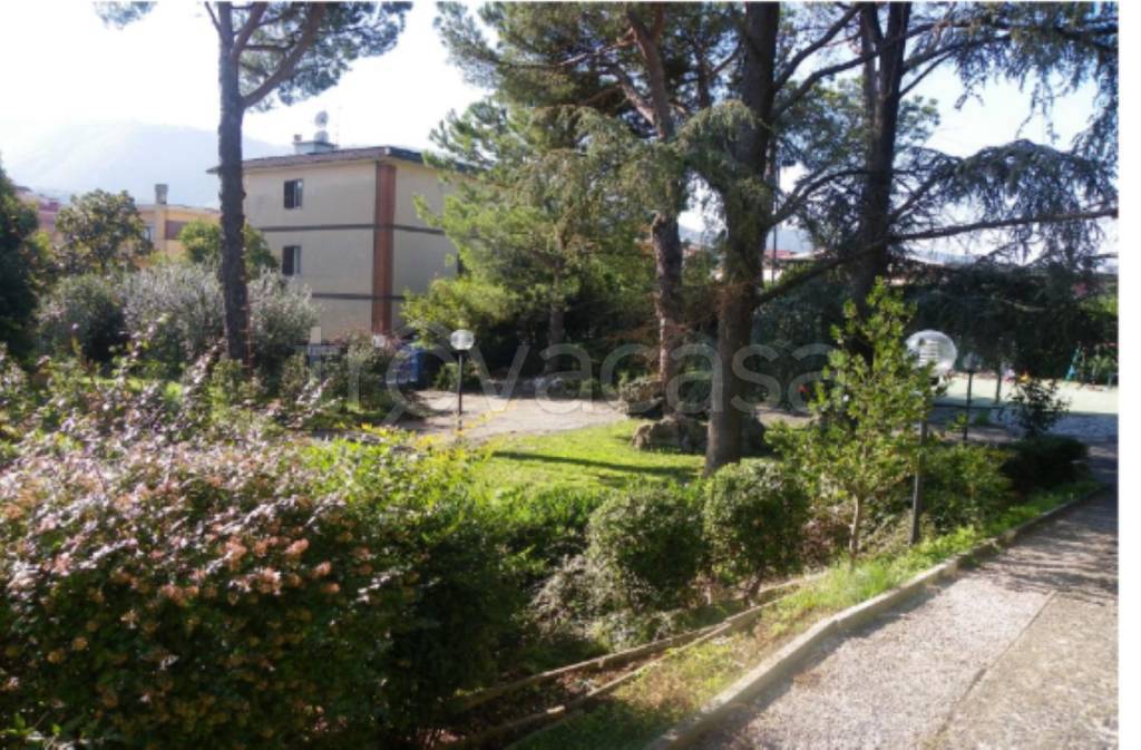 immagine annuncio 6 di 14