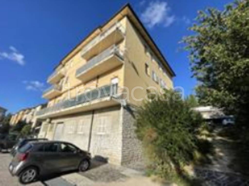 immagine annuncio 2 di 11