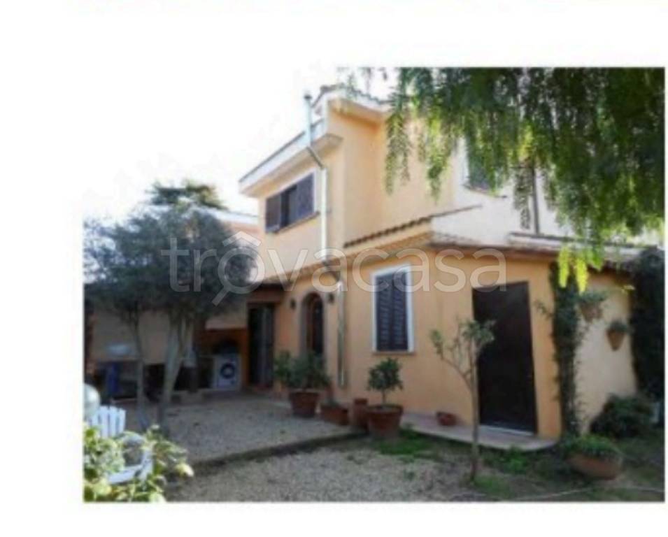 immagine annuncio 6 di 14