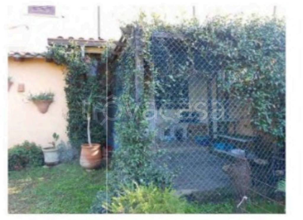 immagine annuncio 11 di 14