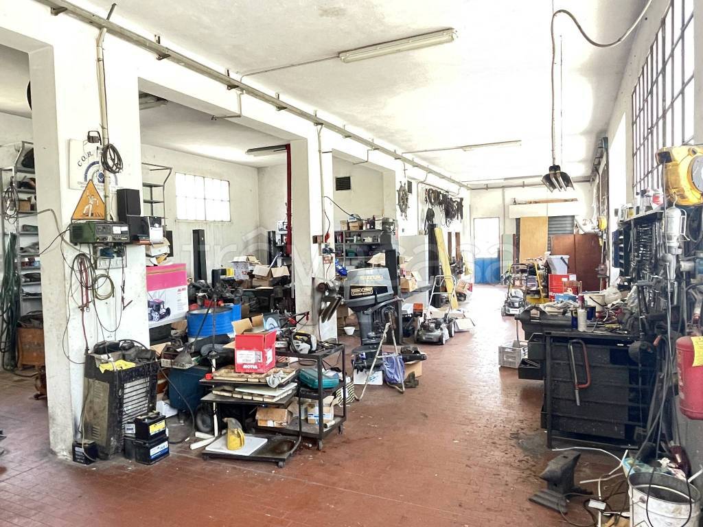 immagine annuncio 8 di 15