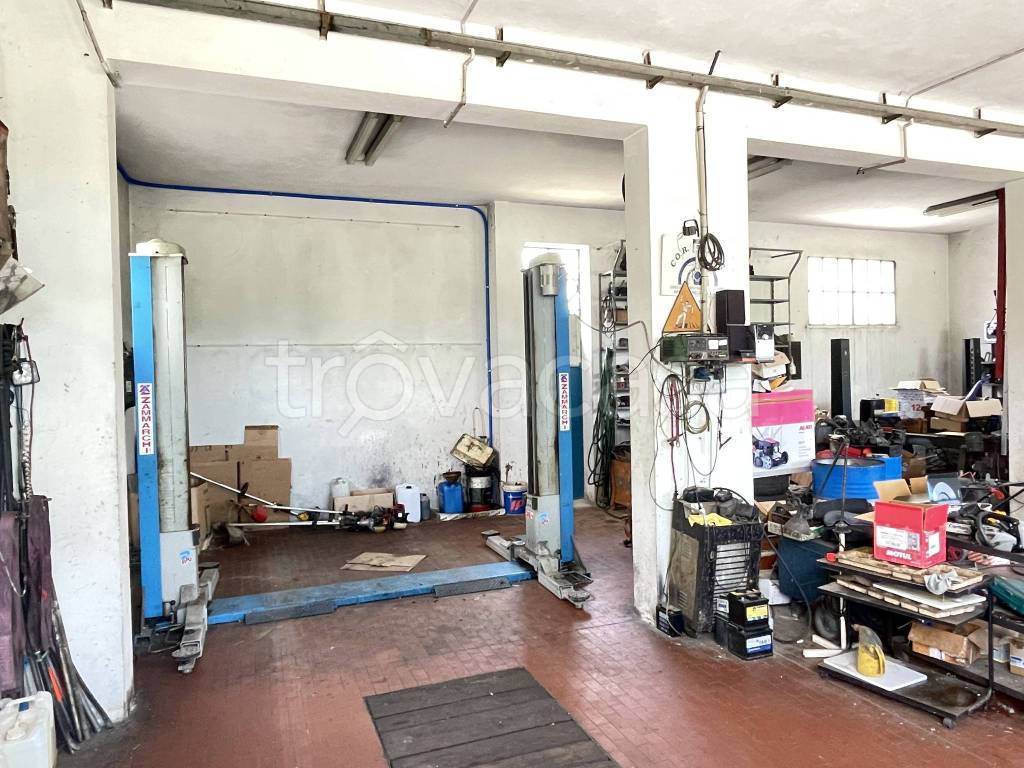 immagine annuncio 9 di 15