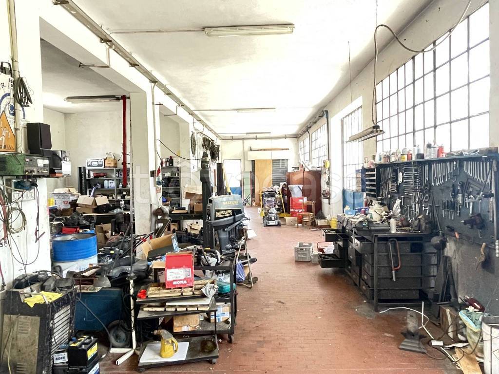 immagine annuncio 5 di 15