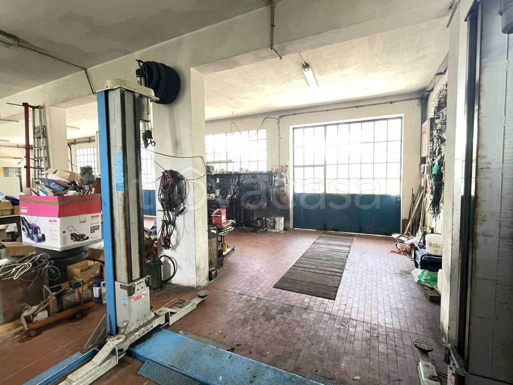 immagine annuncio 12 di 15