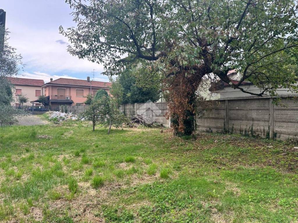 immagine annuncio 4 di 15