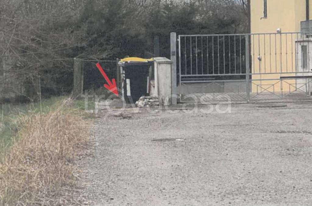 immagine annuncio 3 di 11