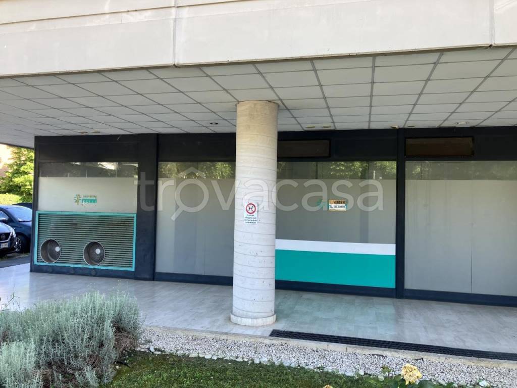 immagine annuncio 5 di 6
