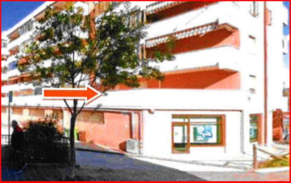 immagine annuncio 2 di 12