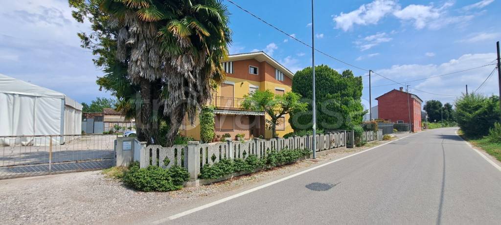 immagine annuncio 5 di 8