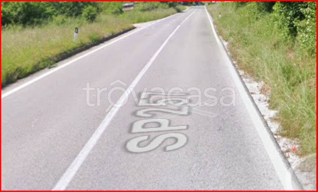 immagine annuncio 7 di 12