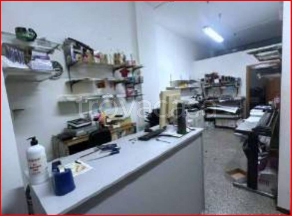 immagine annuncio 5 di 11
