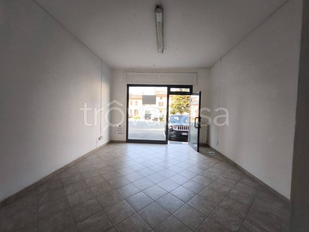 immagine annuncio 2 di 8