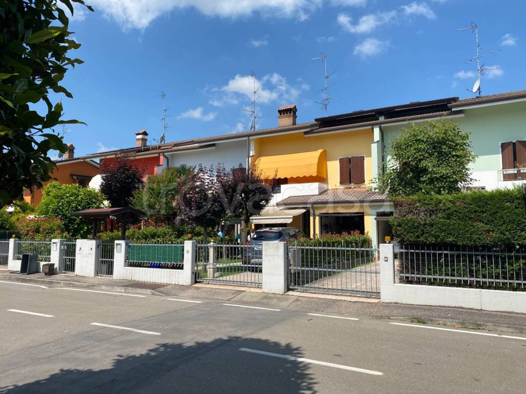 immagine annuncio 1 di 15