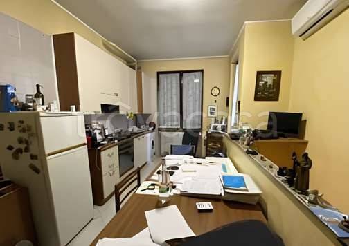 immagine annuncio 1 di 8