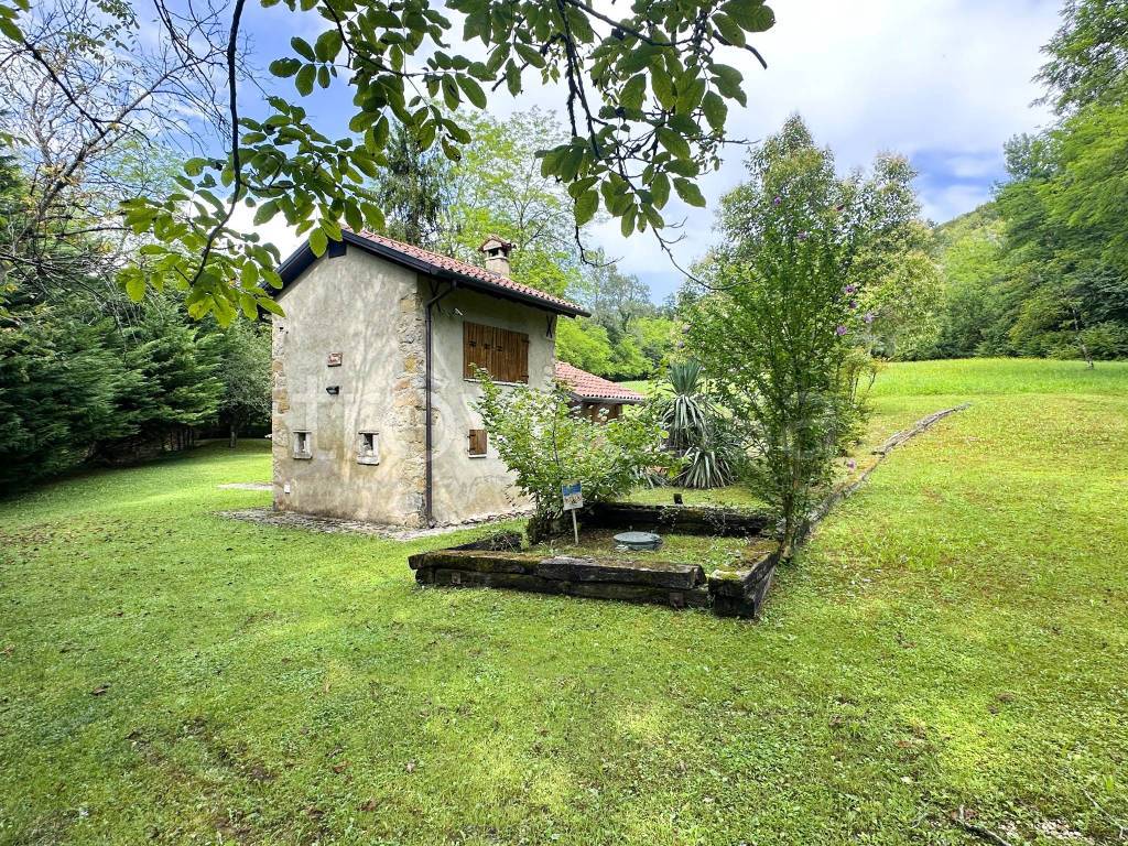 immagine annuncio 6 di 8