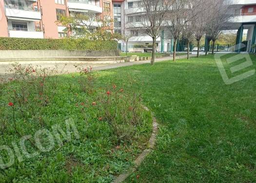 immagine annuncio 2 di 11