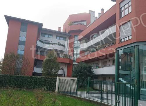 immagine annuncio 3 di 11