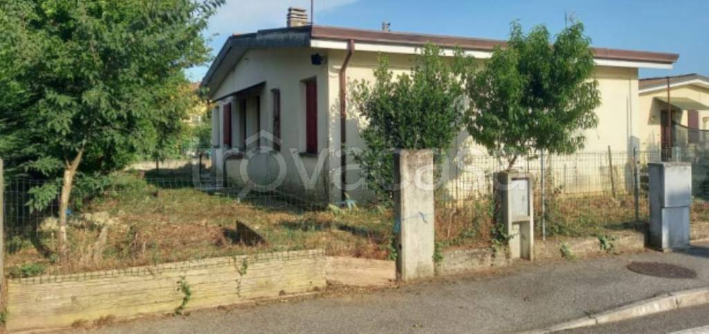 immagine annuncio 2 di 12
