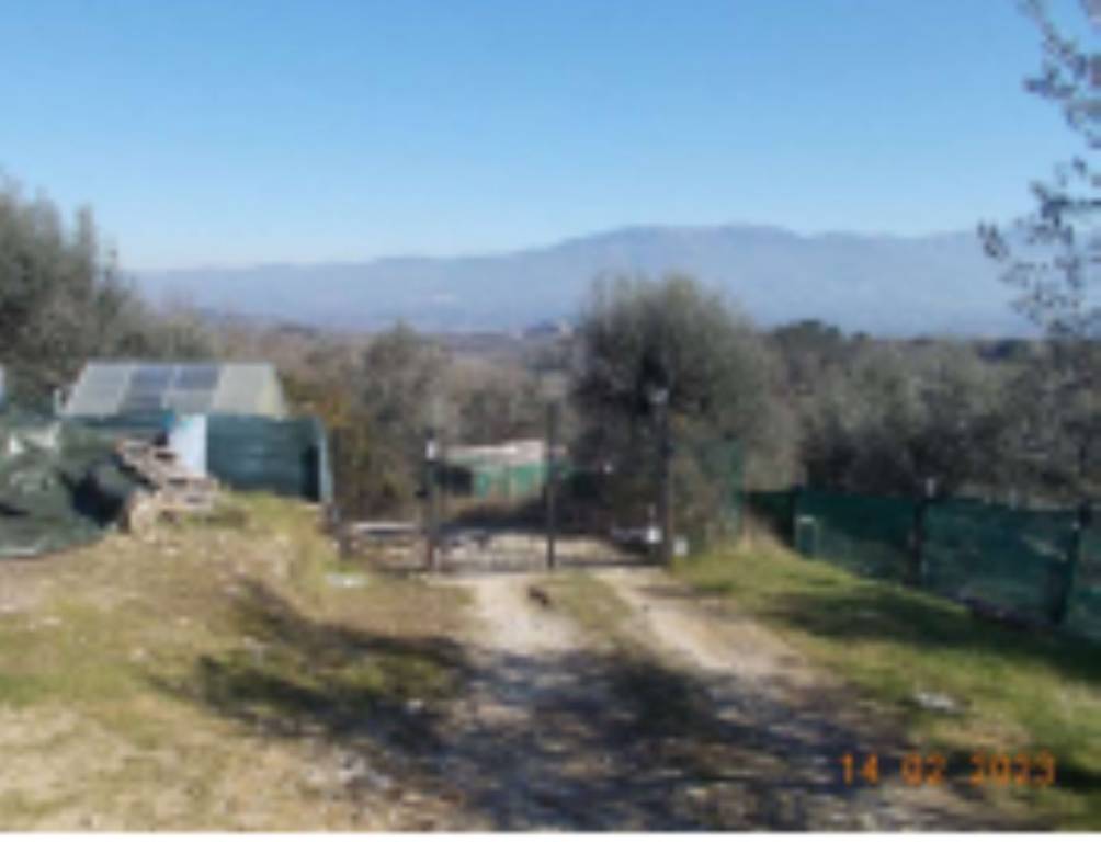 immagine annuncio 5 di 11