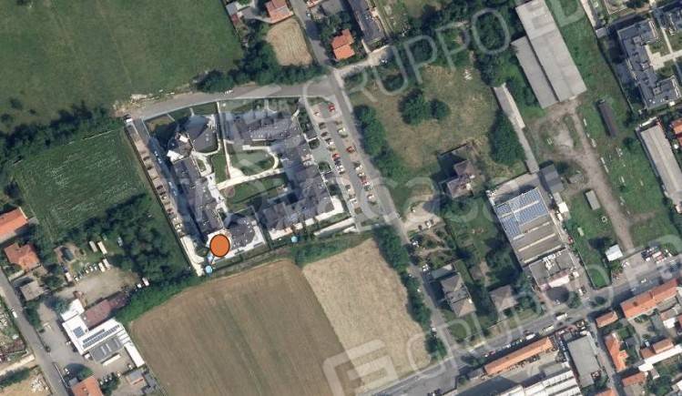 immagine annuncio 12 di 13