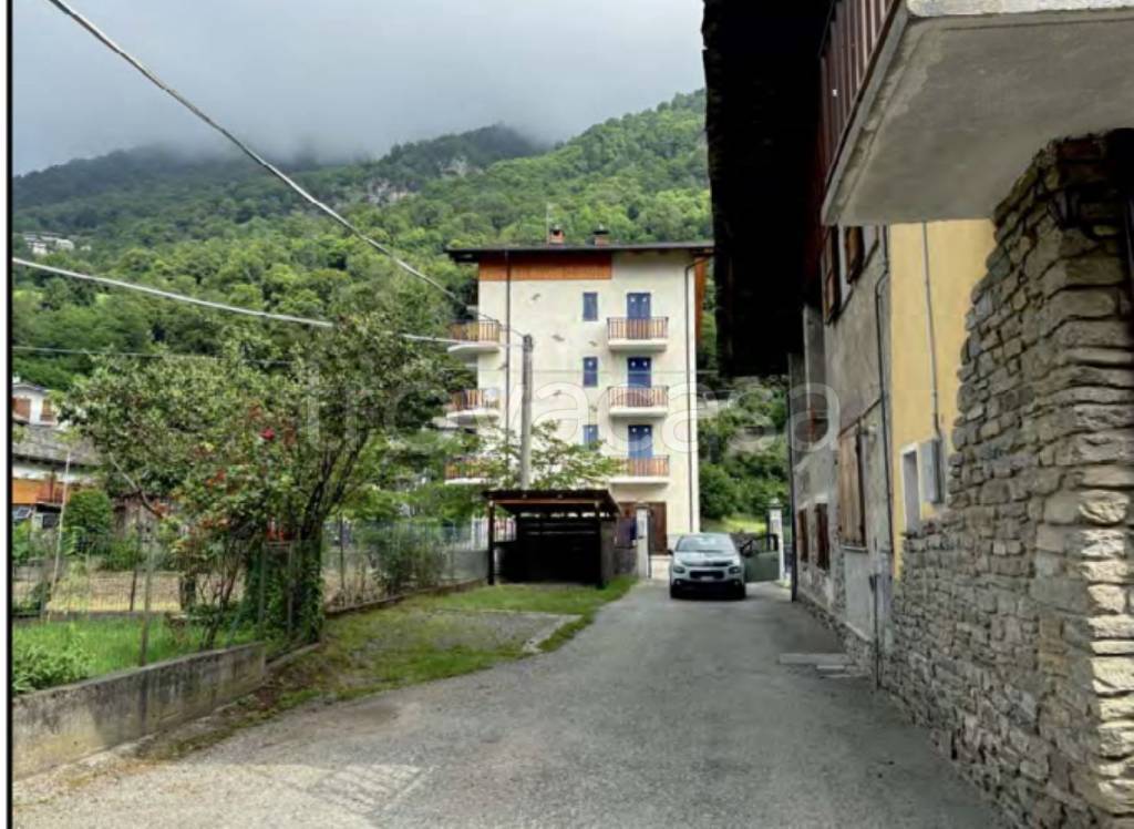 immagine annuncio 1 di 14