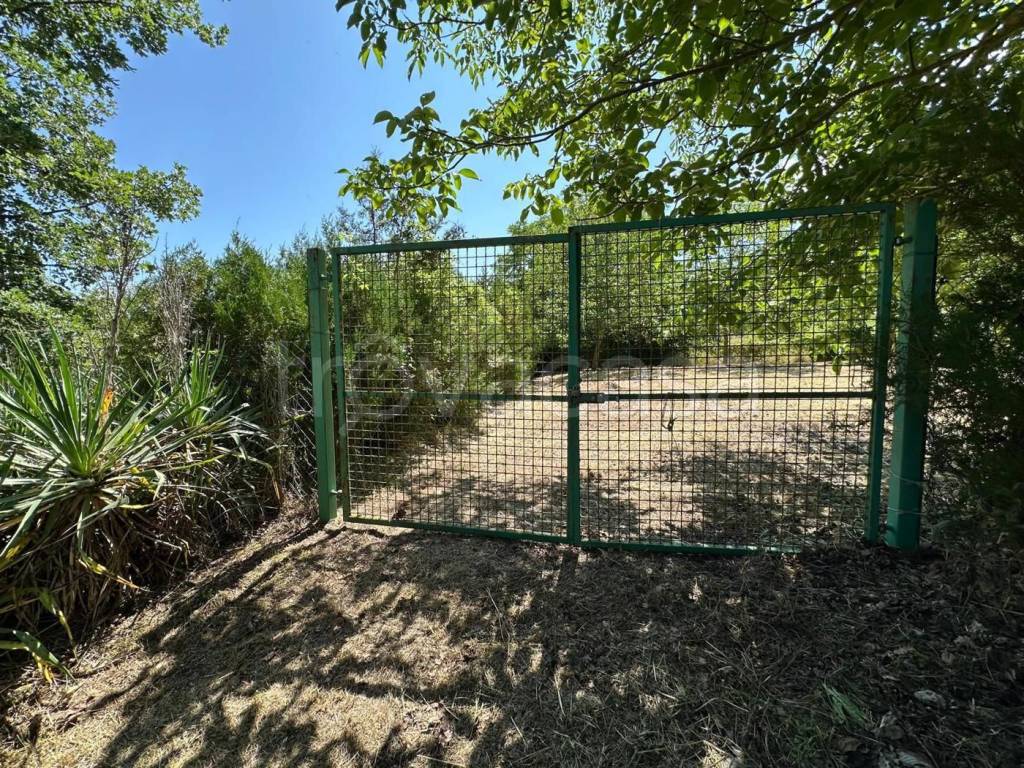 immagine annuncio 3 di 11