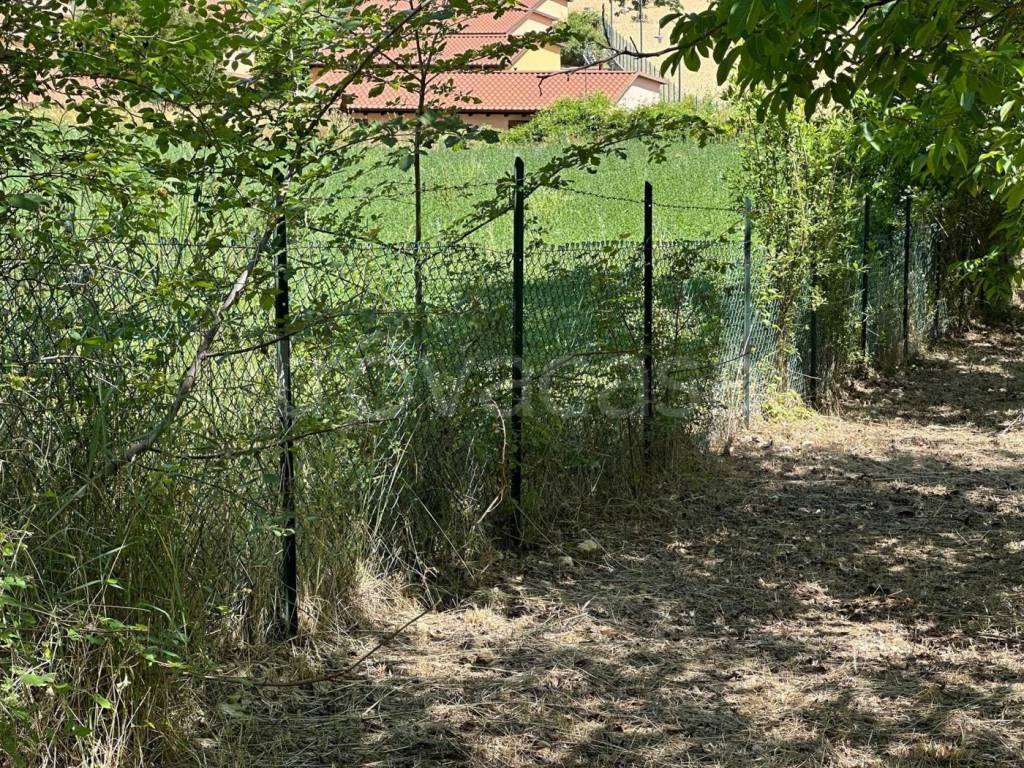 immagine annuncio 5 di 11