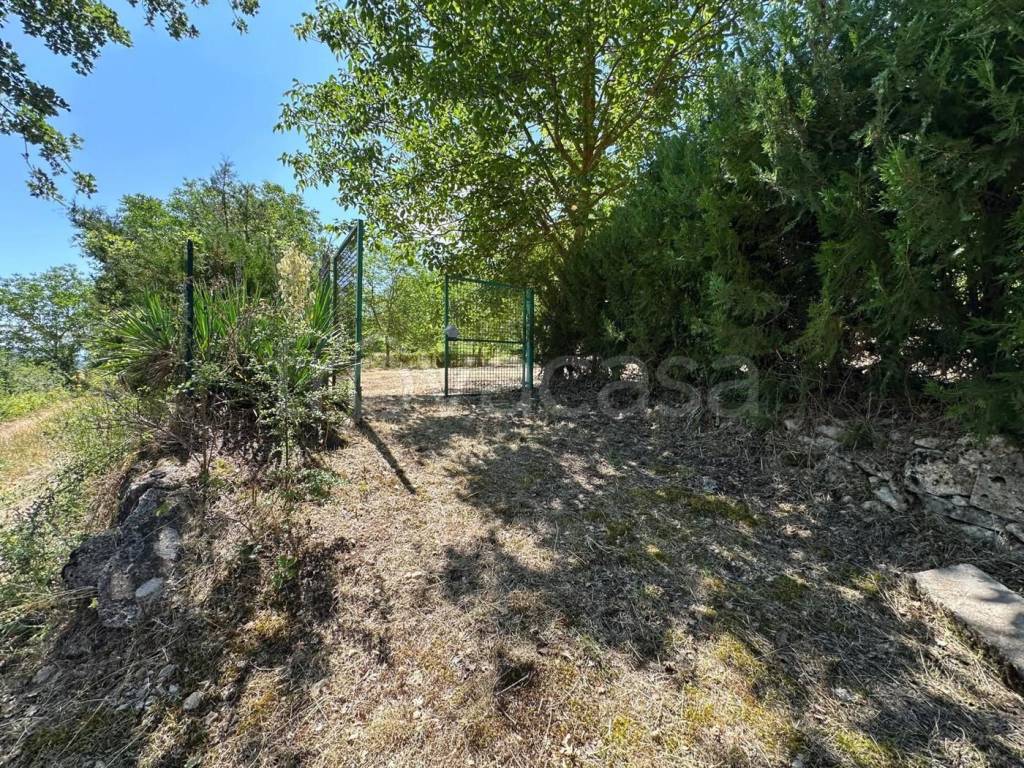 immagine annuncio 6 di 11