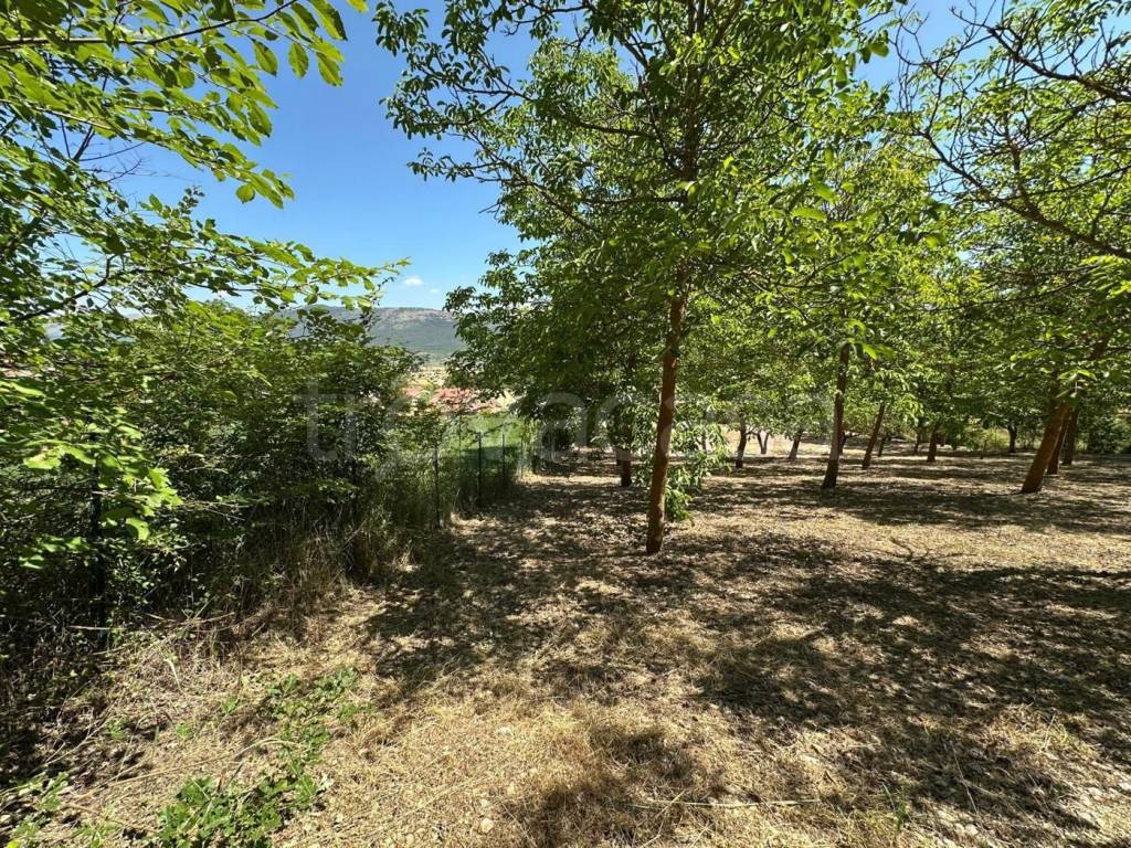 immagine annuncio 9 di 11