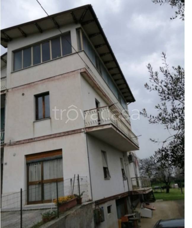 immagine annuncio 11 di 13
