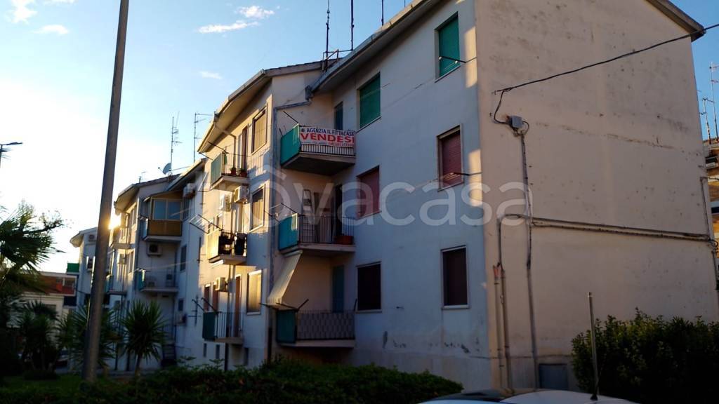 immagine annuncio 1 di 14