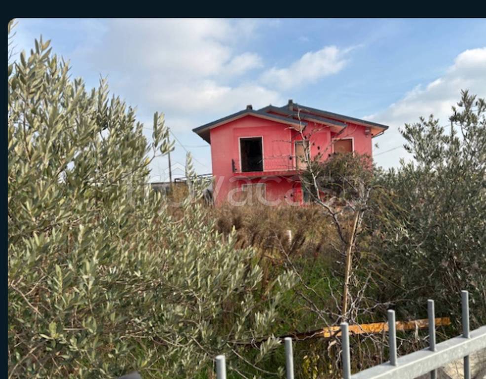 immagine annuncio 3 di 14