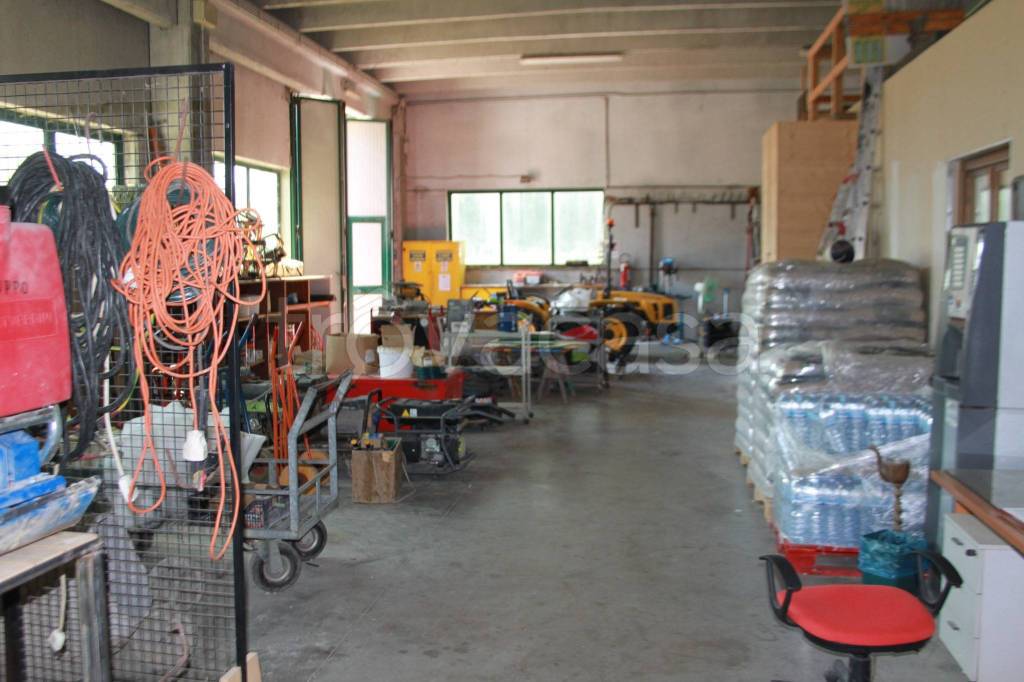 immagine annuncio 5 di 7