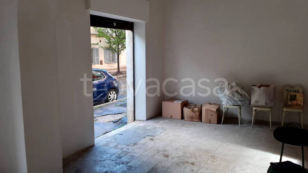 immagine annuncio 6 di 14