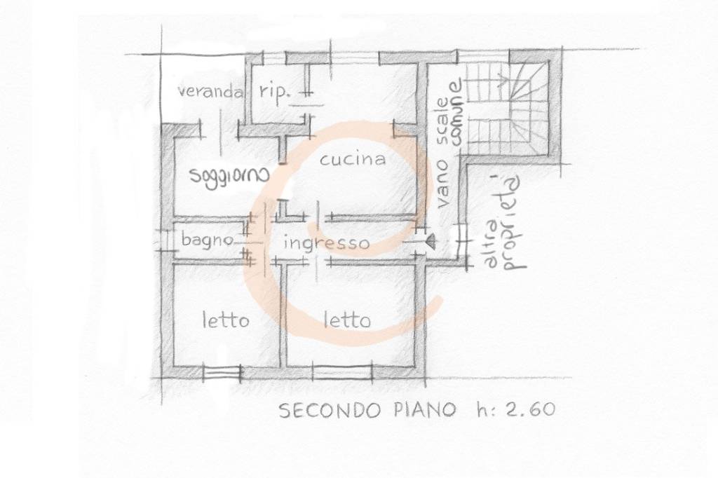 immagine annuncio 12 di 13
