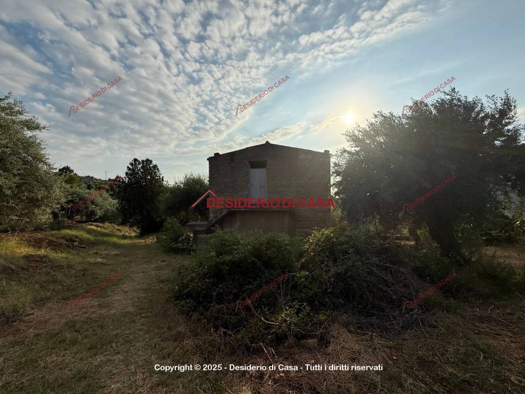immagine annuncio 2 di 9