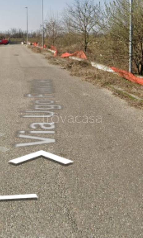 immagine annuncio 2 di 12