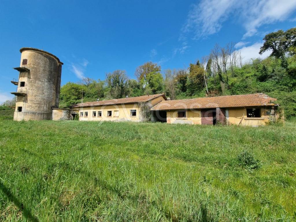 immagine annuncio 5 di 15