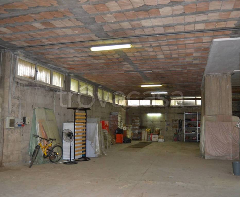 immagine annuncio 3 di 12