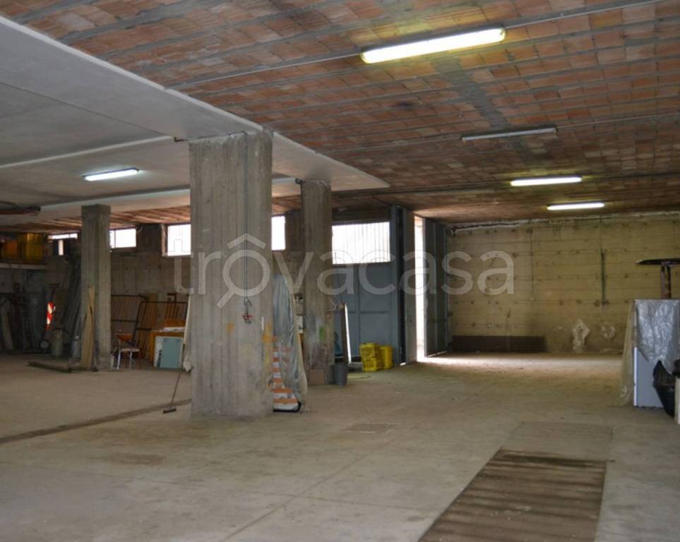 immagine annuncio 11 di 12