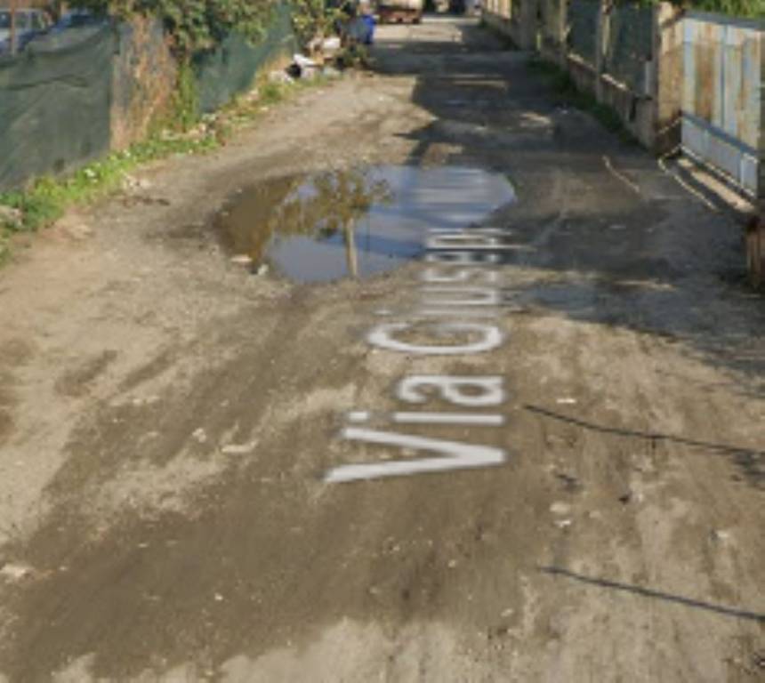 immagine annuncio 4 di 12
