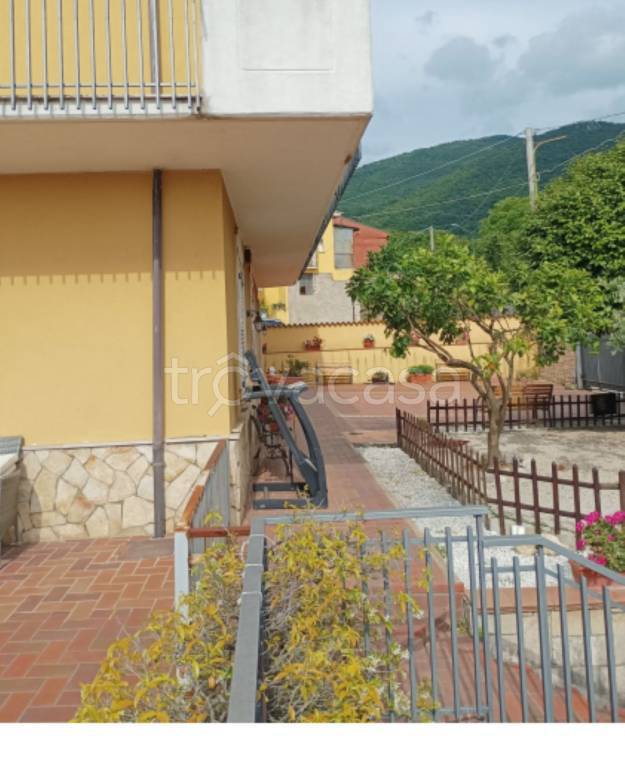 immagine annuncio 7 di 12